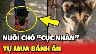 Nuôi chó CỰC NHÀN: CHO TIỀN thích ăn gì TỰ MUA 😂 | Yêu Lu