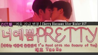 태호 Tae Ho - 너예쁨 Pretty (너라는 예쁨에 물들었어) : 겨울 지나 벚꽃 l Cherry Blossoms After Winter OST