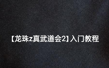 【龙珠z 真武道会2】最全入门教程