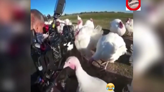các chúa hề ngoài đời thực p65 #FUNNY