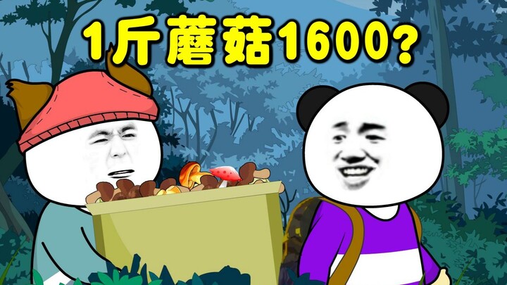 165集|好蘑菇只卖有缘人！看唐老板怎么靠嘴皮子打动他。大黄带日天撩狗！| 在下唐卓