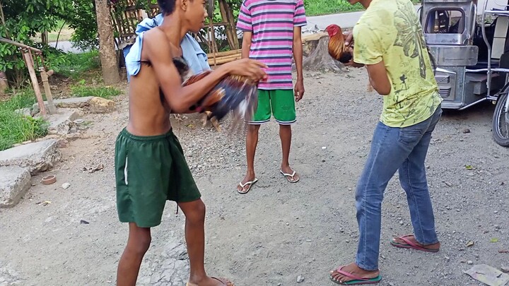 testing Sina lugon 😁😁