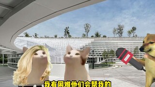cheems 过命闺蜜5