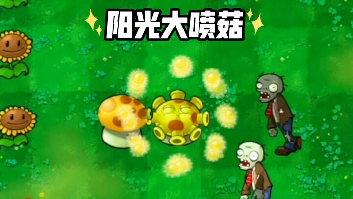 Sunflower + Melancholy Mushroom, endlessly spewing sunlight