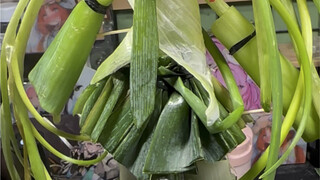 แม่ของฉันเก็บฉันและต้นหอมไว้ในห้องเดียวกันโดยไม่ต้องกังวล