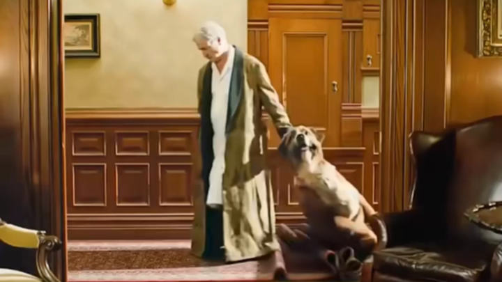 The Call of the Wild: This dog is so naughty. I have to say that its owner has a really big heart!