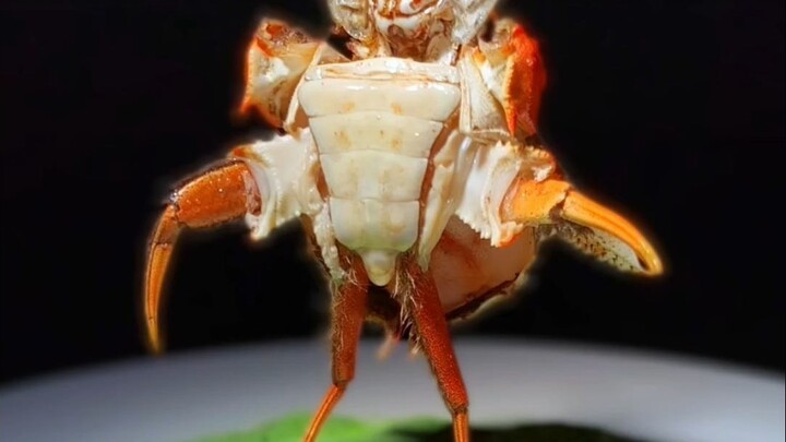 ถึงเวลาทานเมนูเด็ดแล้ว!