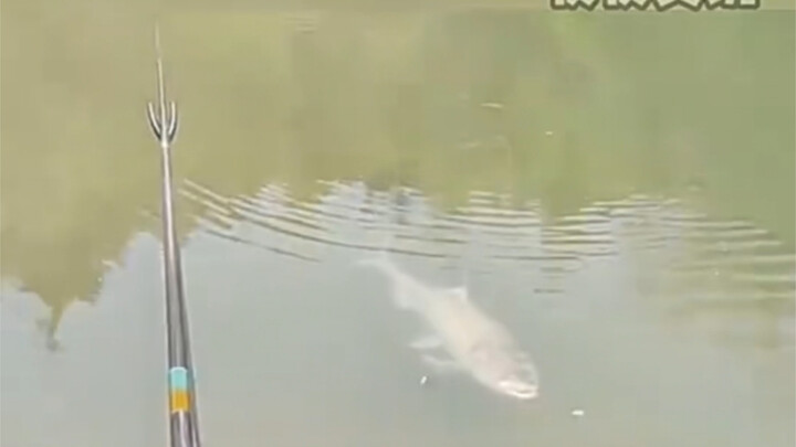 ضخ الماء! لازم نضخ الماء! اضخ بقوة!