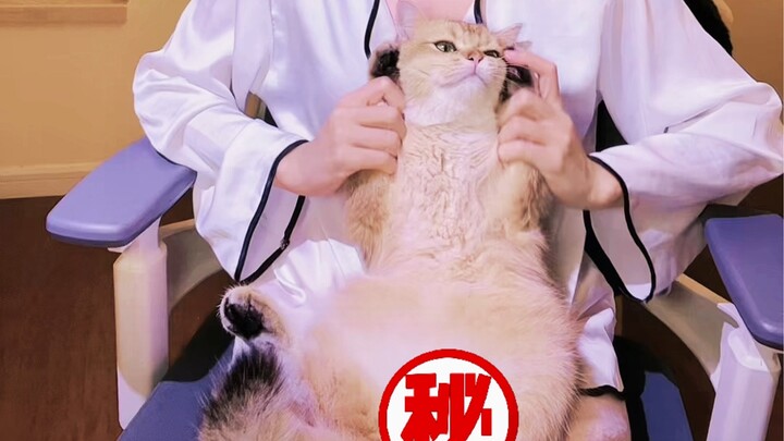 Learning to Hustle: Running Mom's Business