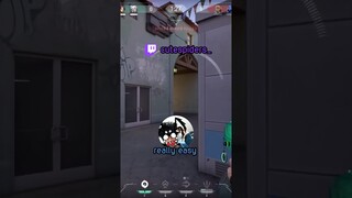 how to gaslight 101 - twitch: cutespiders_ #valorant
