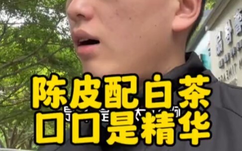 Trần bì phối bạch trà, mỗi ngụm đều là tinh hoa