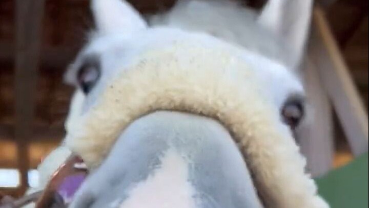 Dùng cà rốt để gắn kết tình cảm