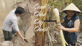CƠM MIỀN QUÊ #19 - CANH CHUA TÉP VỚI THÂN CÂY CHUỐI | Chuyện Phương Kể