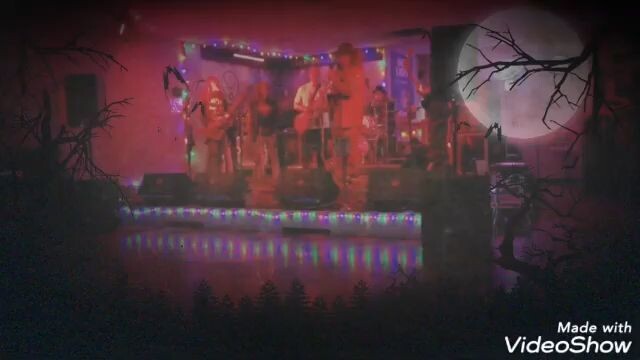 Michael Cash - Cat Scratch Fever (Live Cover) - OFFICIAL PROMO