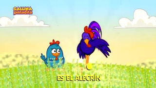 Alecrín Dorado - DVD - Gallina Pintadita 2