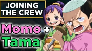 Straw Hat Candidate Analysis: Momo and Tama