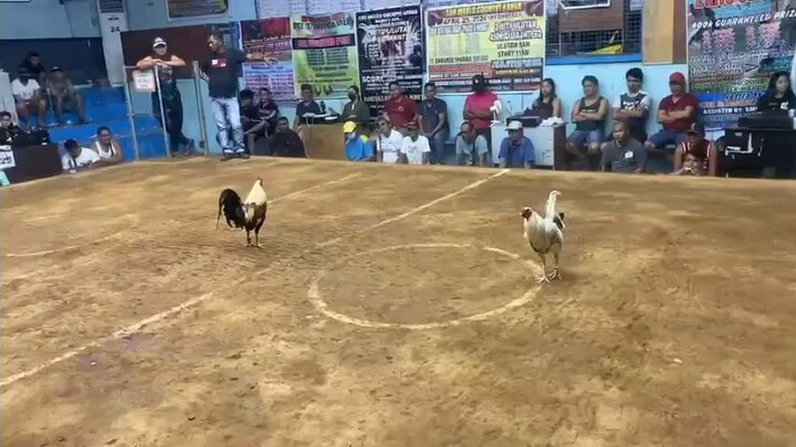 WIN! @SMCA 03/04/26 2HITS ULUTAN SECOND FIGHT "CHAMPION"