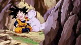 Dragon Ball Z (Dub) Episode 206