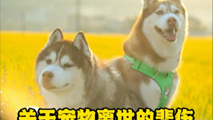 I’ve accepted the parting, but I underestimated how much I’d miss you… All I can do is believe that 