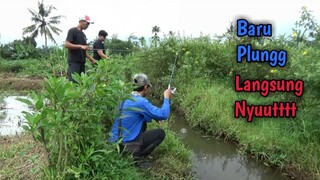 Senengnya Mancing Mujair Di Selokan Ini STRIKENYA GAK PAKE LAMA BROO