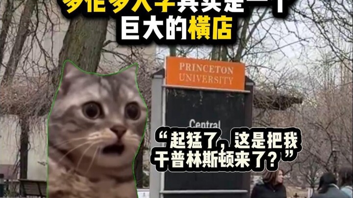 Ternyata Universitas Toronto itu kayak Xiangyang Studio yang gede banget..