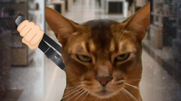 Áp chế bởi dòng máu từ chị gái