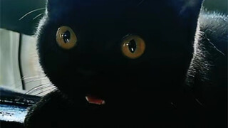 Is this the legendary cutest "doll" ever?