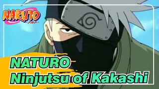 NATURO|Ninjutsu of Kakashi-Collection of Class 7 Exercise