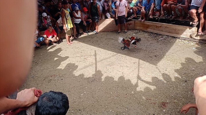 mapapa sigaw ka talaga