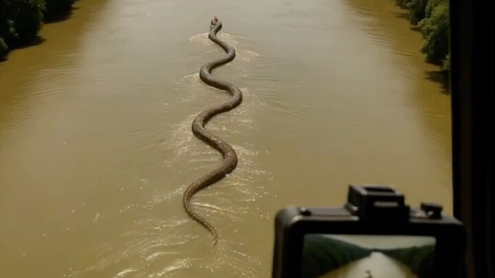 أكبر شريط حار مُتاح حاليًا...