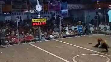 Pachampion Win ,Angeles Cockpit