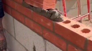 这个速度在咱们这会被 包工头搜 撵回老家去