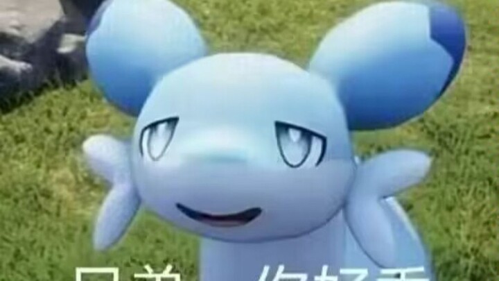 【VRCHAT】Musang Putar Cepat. Lubang Kelinci