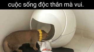 cuộc sống vui vẻ#dailyvlog#life#chill