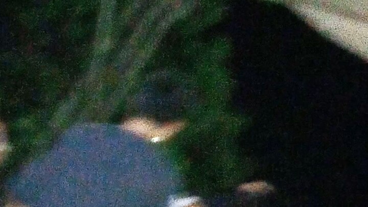 neneng b