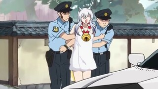 Police: No need to explain so much. Just take him away!