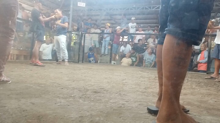 3rd fight winner @babak gallerA .