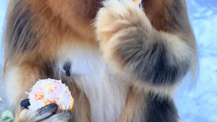 มันยังปอกส้มทีละซีกอีกด้วย!