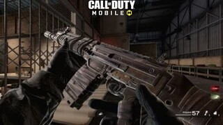 *WEAPON INSPECTION* COMING SOON