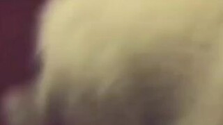 “A dog is the only thing on earth that loves you more than you love yourself.” #dog lover💓💓