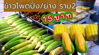 ข้าวโพด ข้าวโพดปิ้ง ข้าวโพดหวาน สดใหม่อร่อยขายดีมากเก็บจากไร่แต่เช้ามืด ขายหมดวันต่อวัน