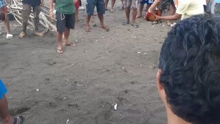 pula vs pula