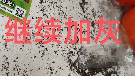 I bought a 600 scratch-off lottery ticket.