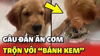 Cơm trộn BÁNH KEM: Món ăn YÊU THÍCH của Gâu Đần tên Xoài 😳 | Yêu Lu