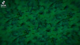 boruto dan pawangnya, 😖🤧👆