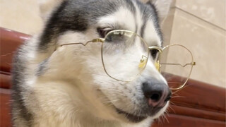 都让开米修少爷回村了