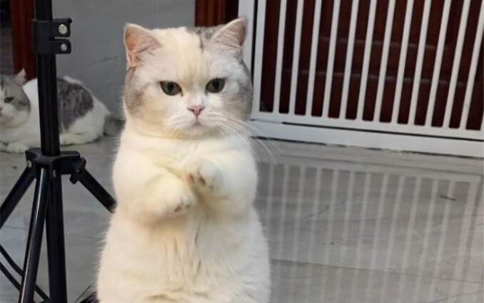 เด็กๆ ที่กำลังลดน้ำหนักช่างดูน่าสงสารจริงๆ…