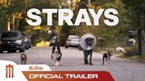 Strays | ชีวิตหมาต้องไม่หมา - Official Trailer [ซับไทย]
