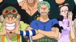 One Piece: Who is the missing partner?