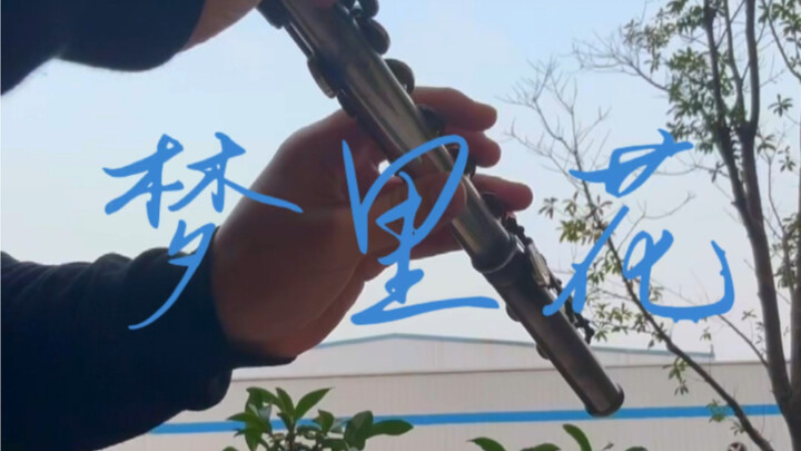 Flowers in a Dream – BGM for Everyone